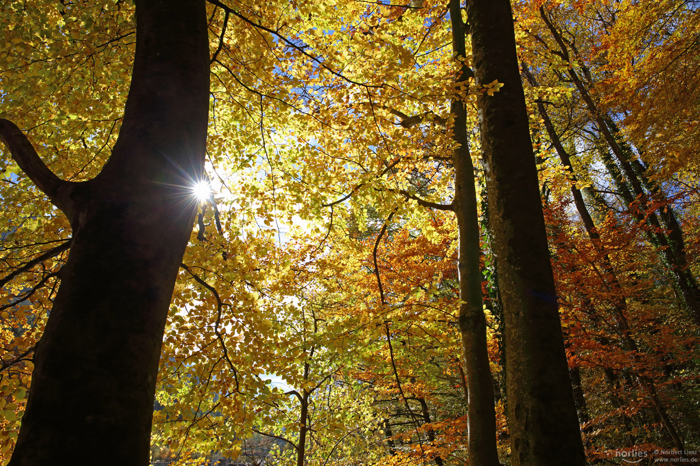 Herbststrahlen