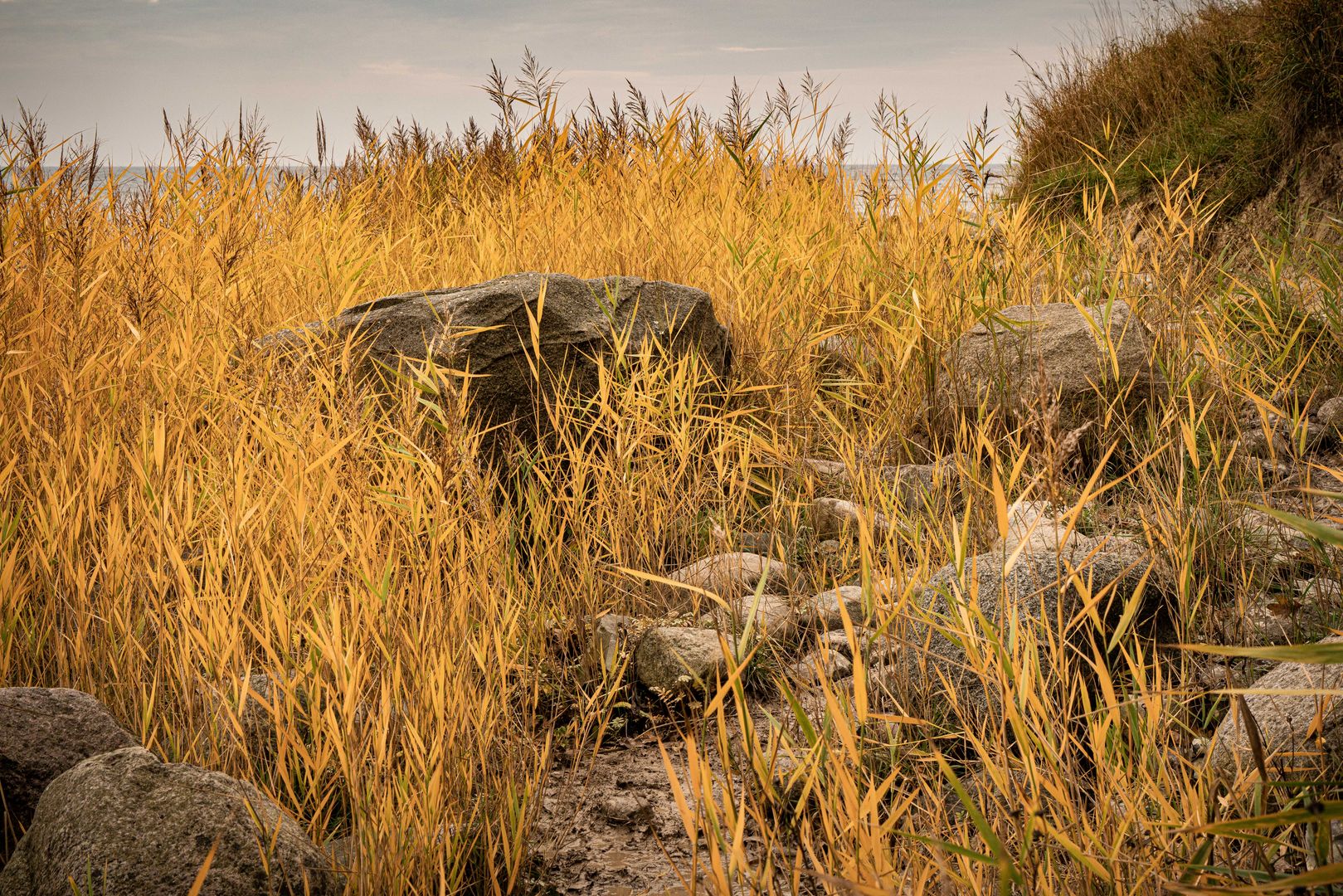 Herbststrand