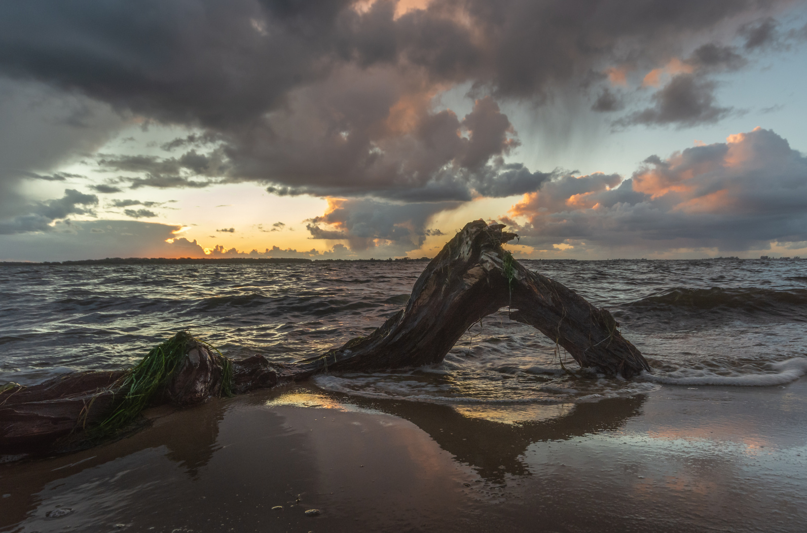 Herbststrand mit Treibgut