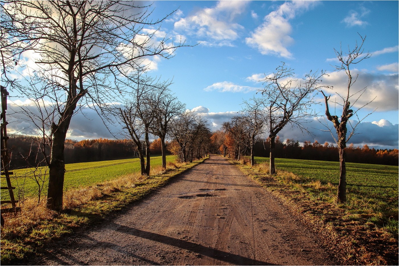 Herbststraße (3)