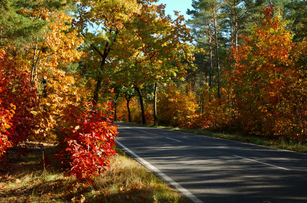 Herbststrasse