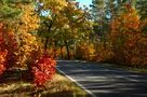 Herbststrasse von Tischstativ 