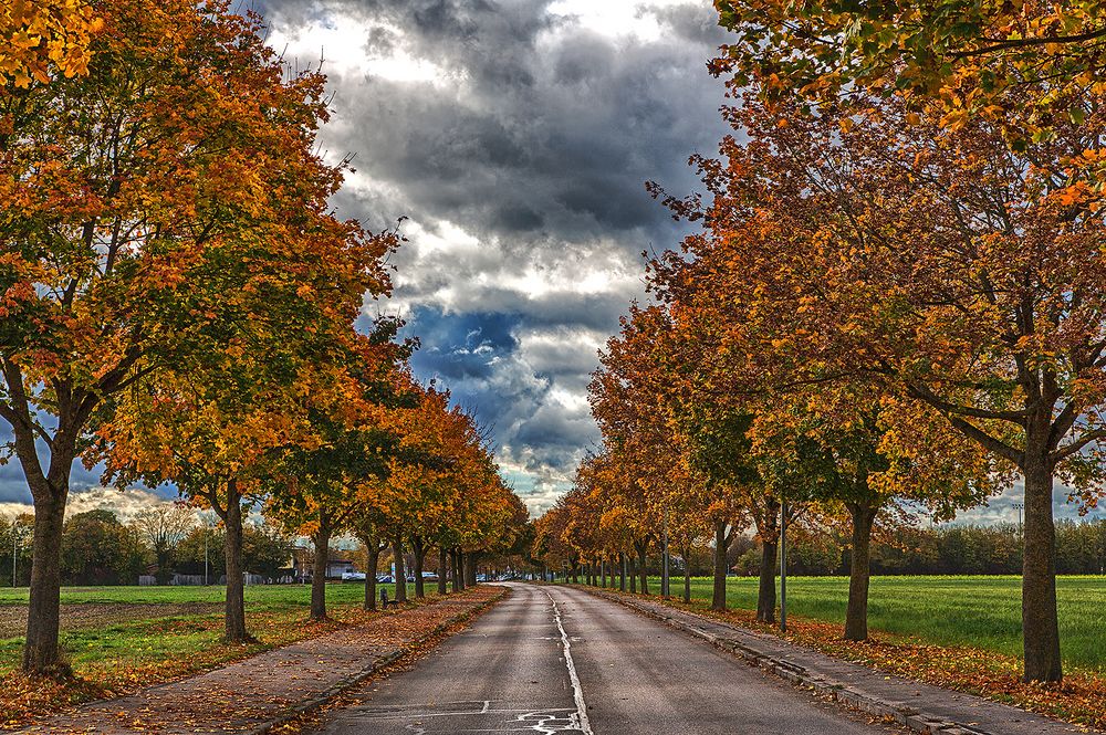 Herbststraße