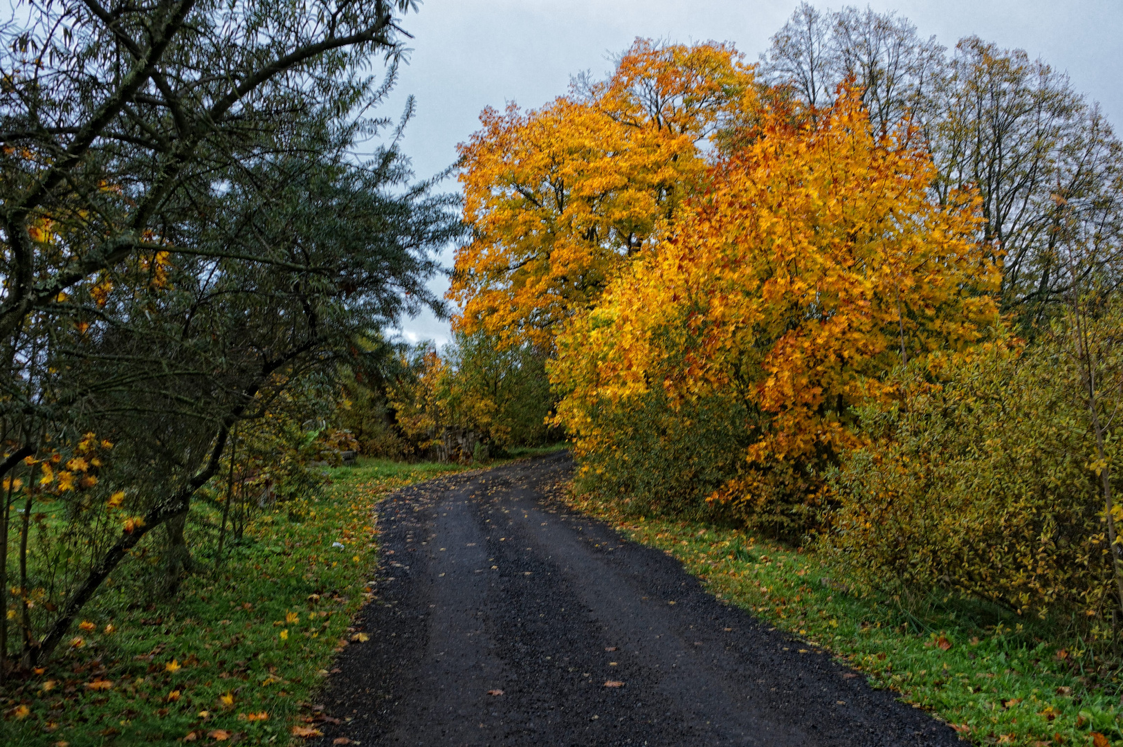 Herbststraße