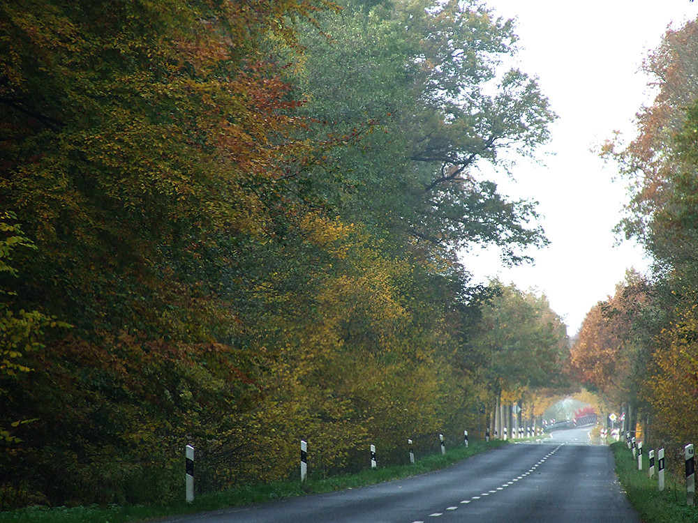 Herbststraße