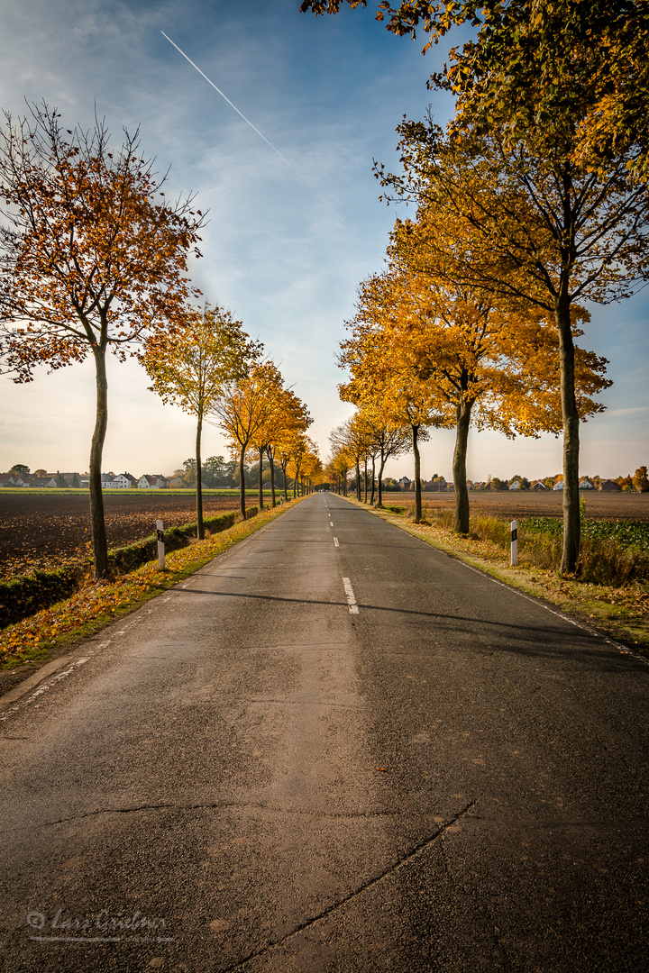 Herbststraße