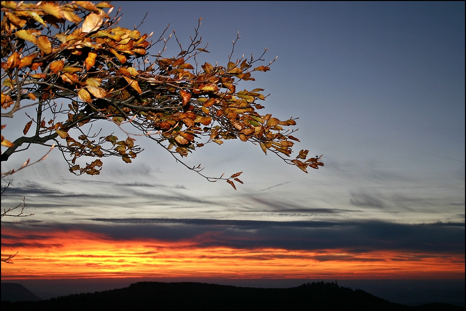 Herbststreifen