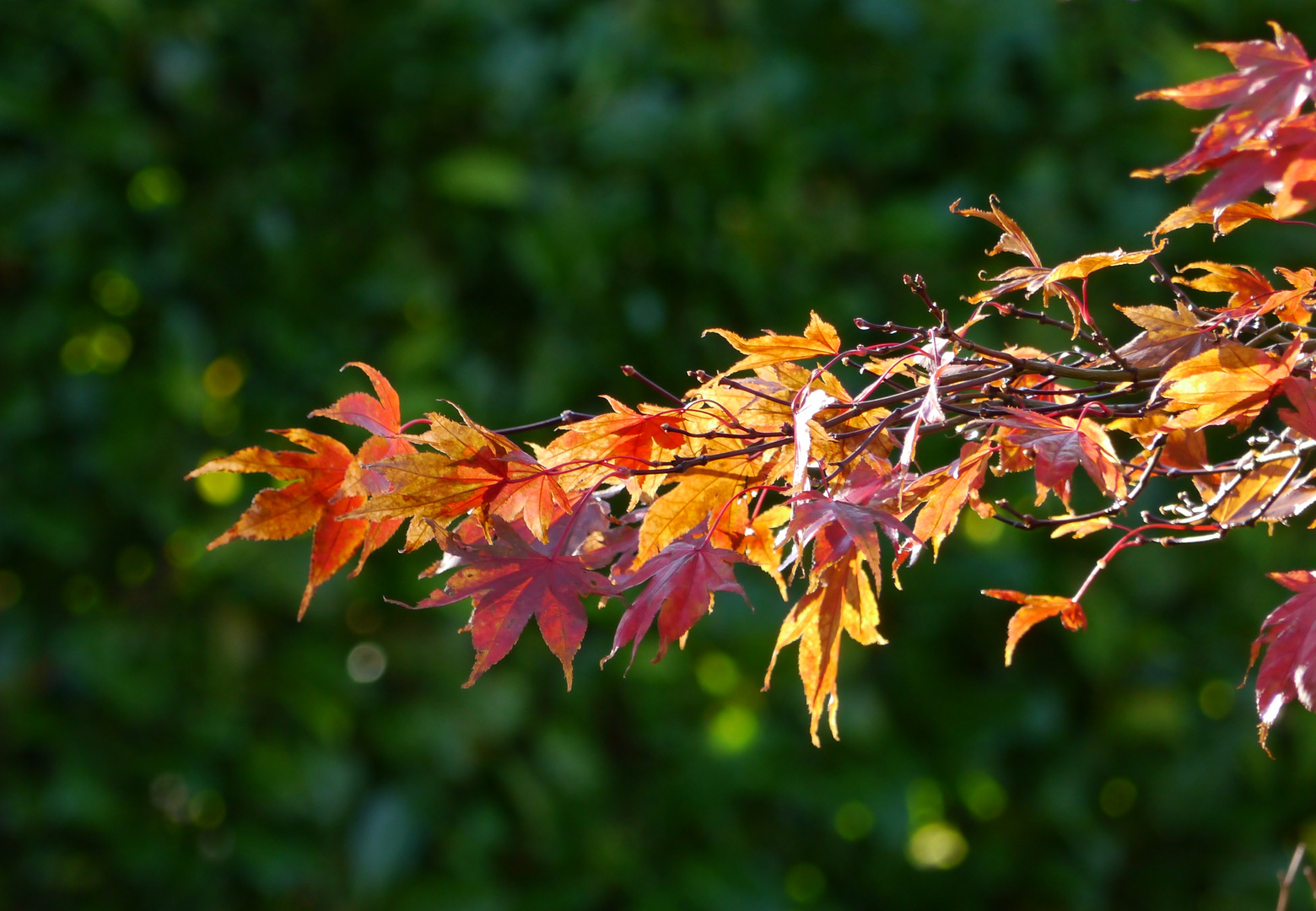 Herbststreik