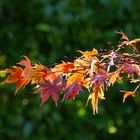 Herbststreik