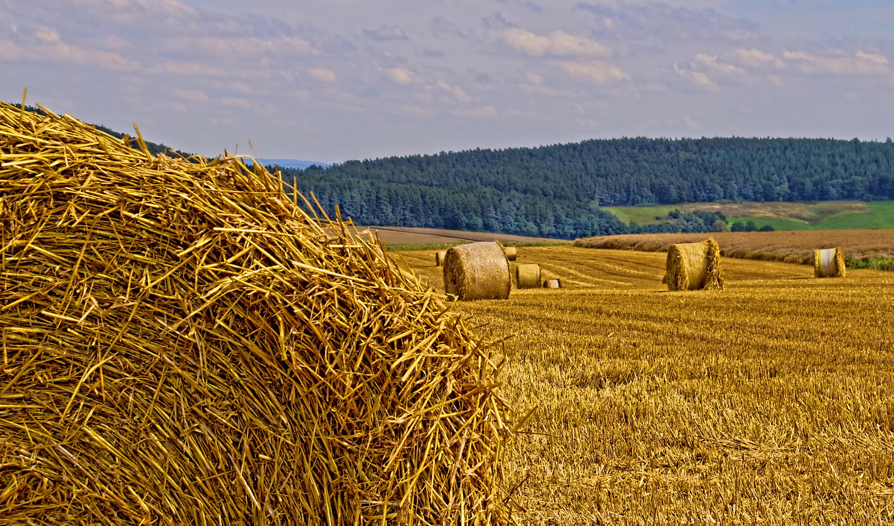 Herbststroh 2