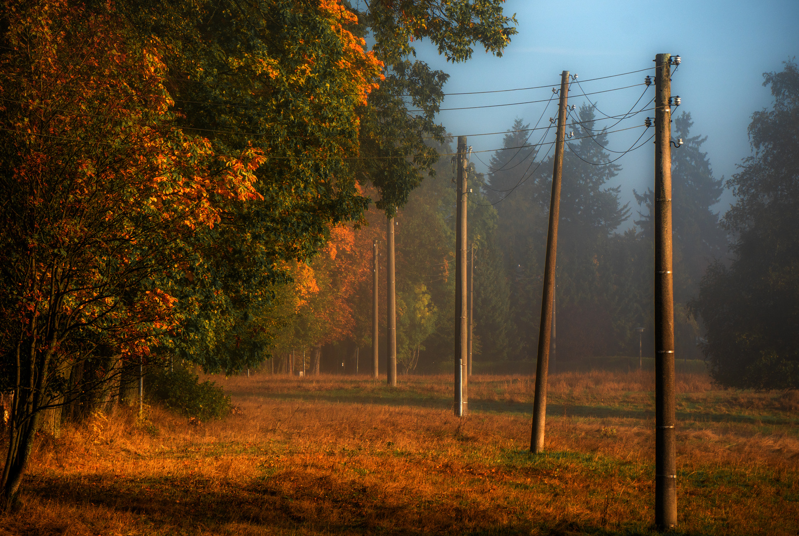 HerbstStrom