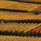 Herbststrukturen