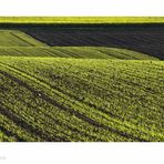 Herbststrukturen