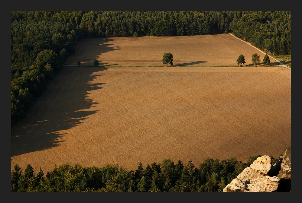 Herbststrukturen