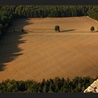 Herbststrukturen