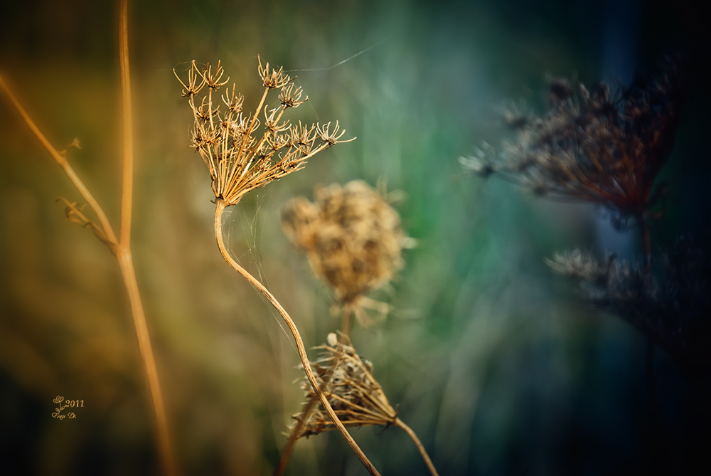 Herbst.Strukturen