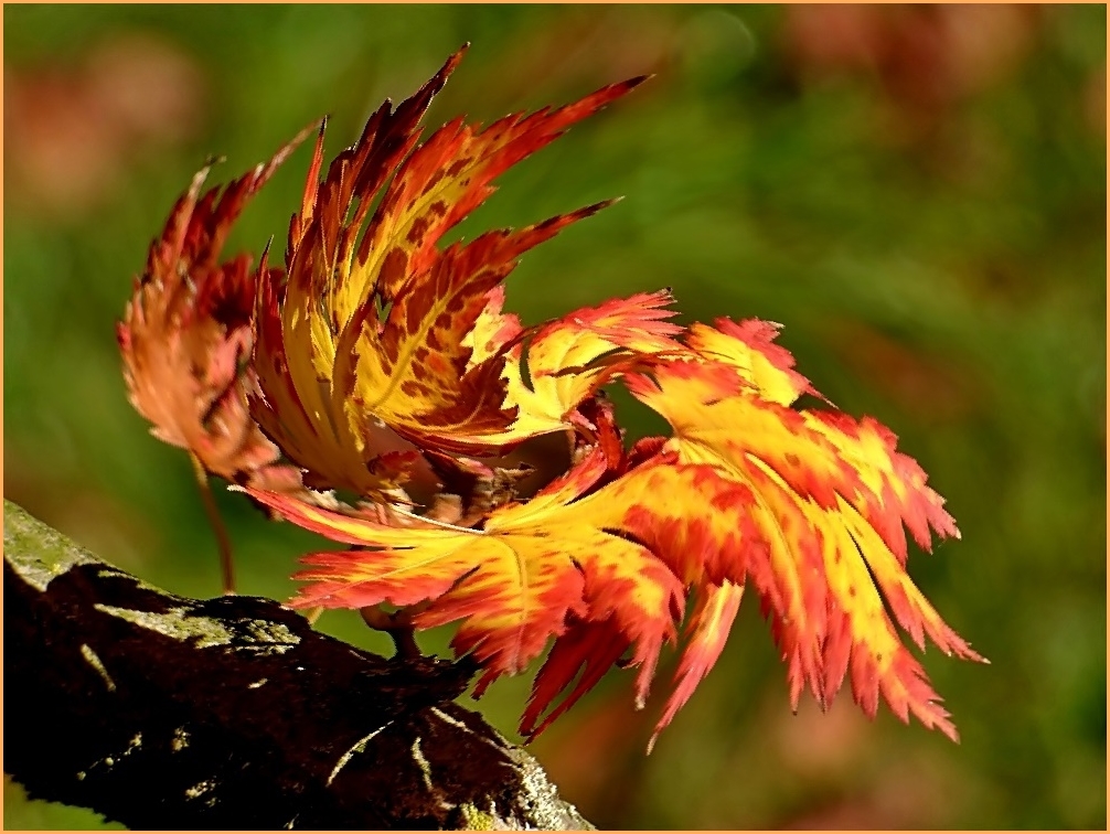 Herbststürme.