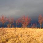 Herbststürme