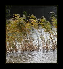 Herbststürme