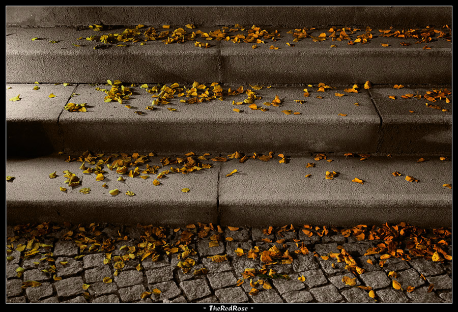 Herbststufen