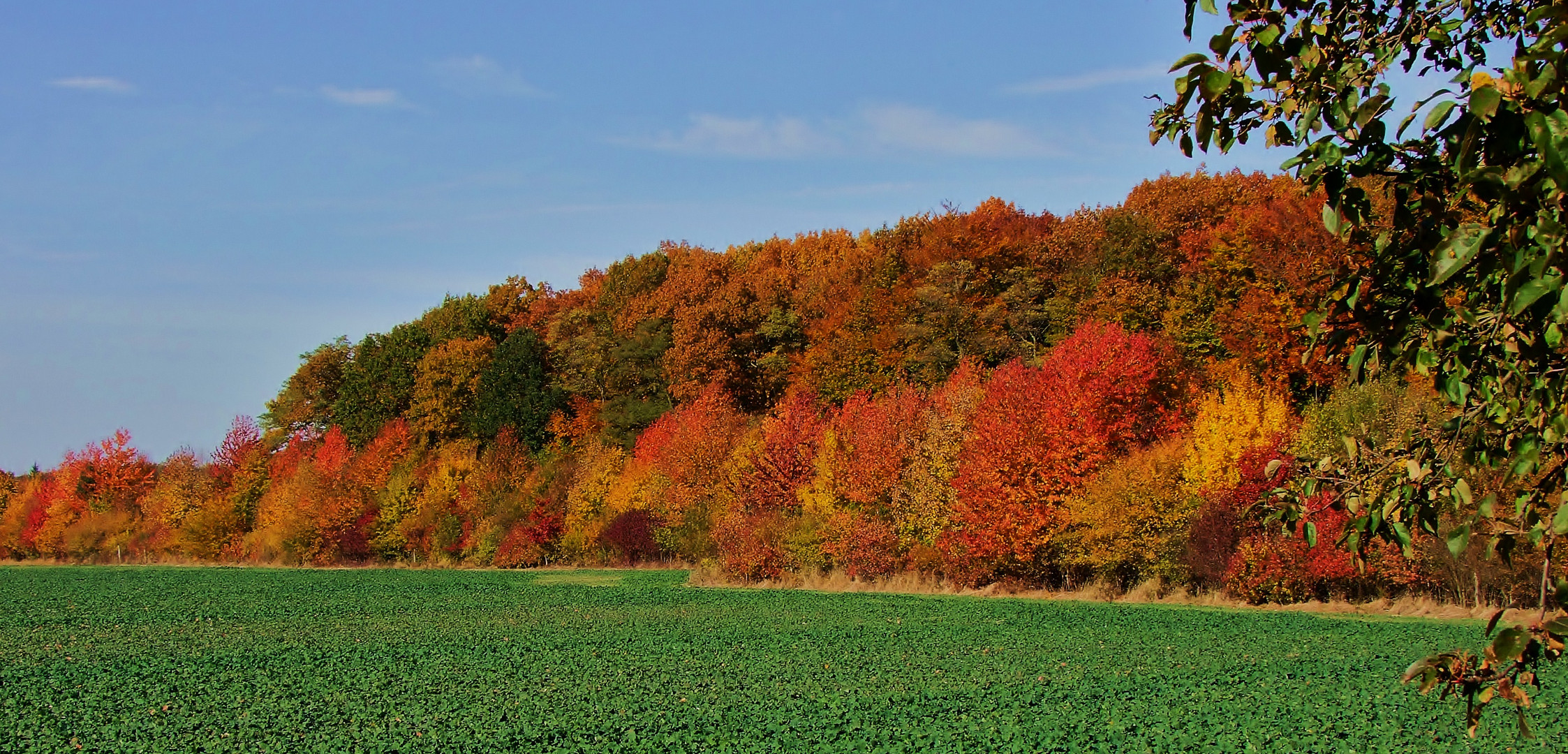 Herbststunden