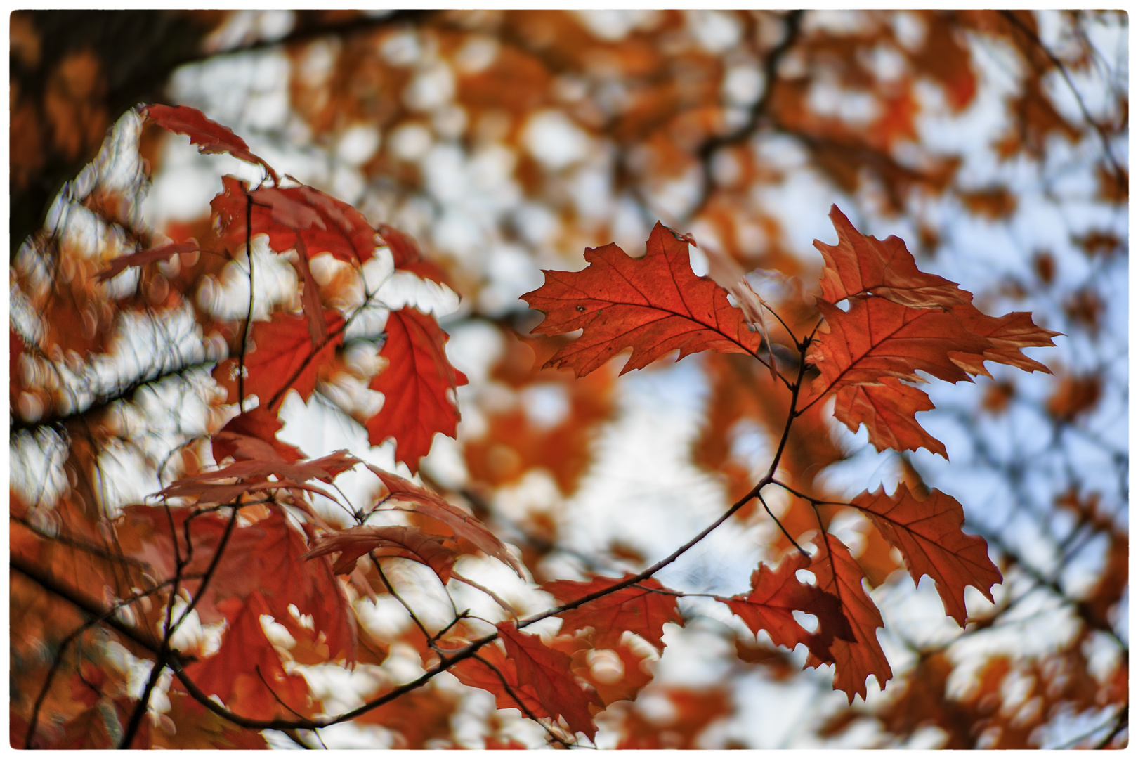 Herbststurm