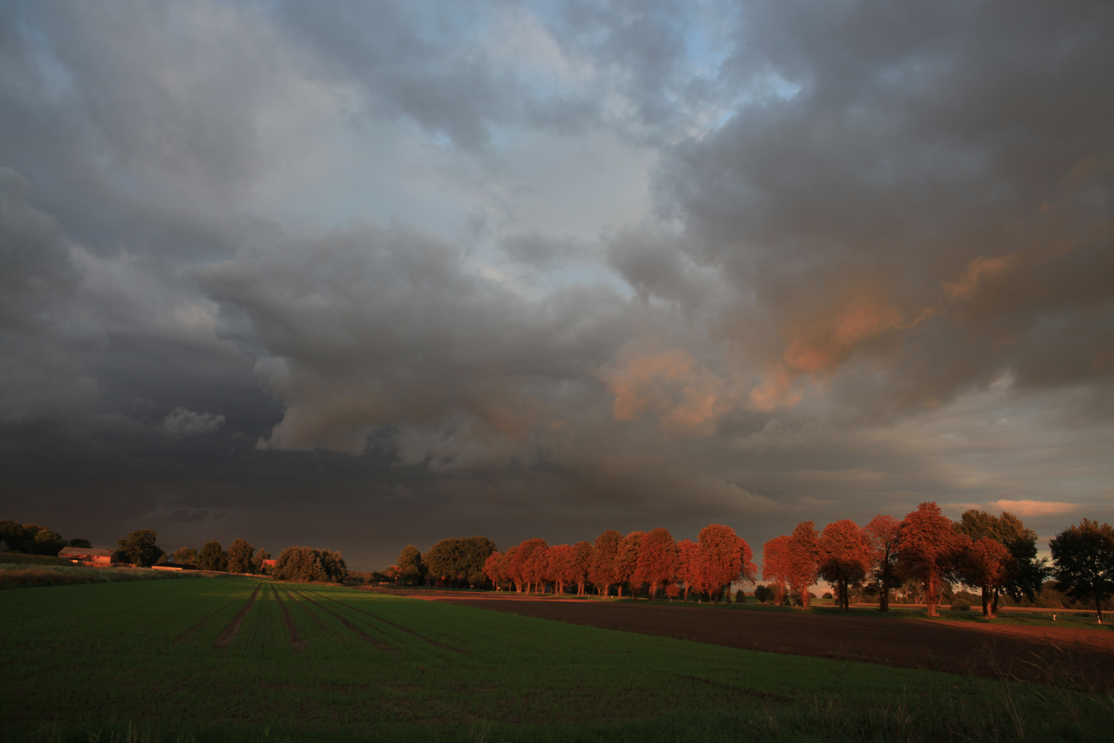 Herbststurm