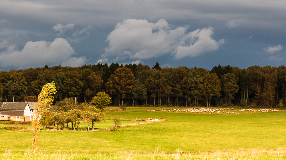 Herbststurm