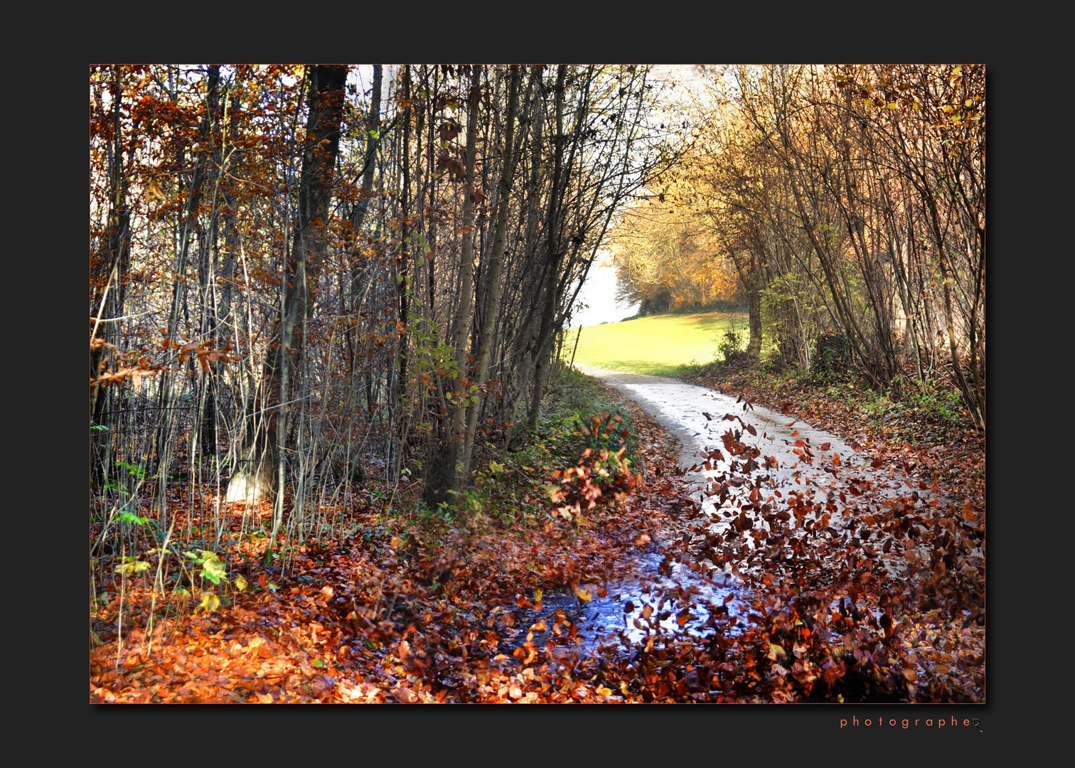 Herbststurm