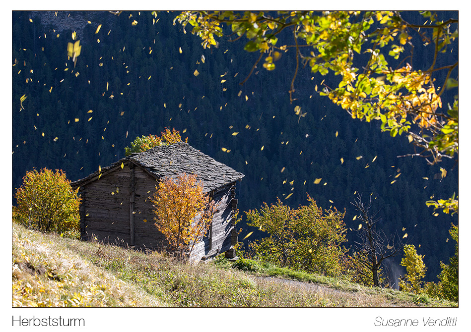 herbststurm