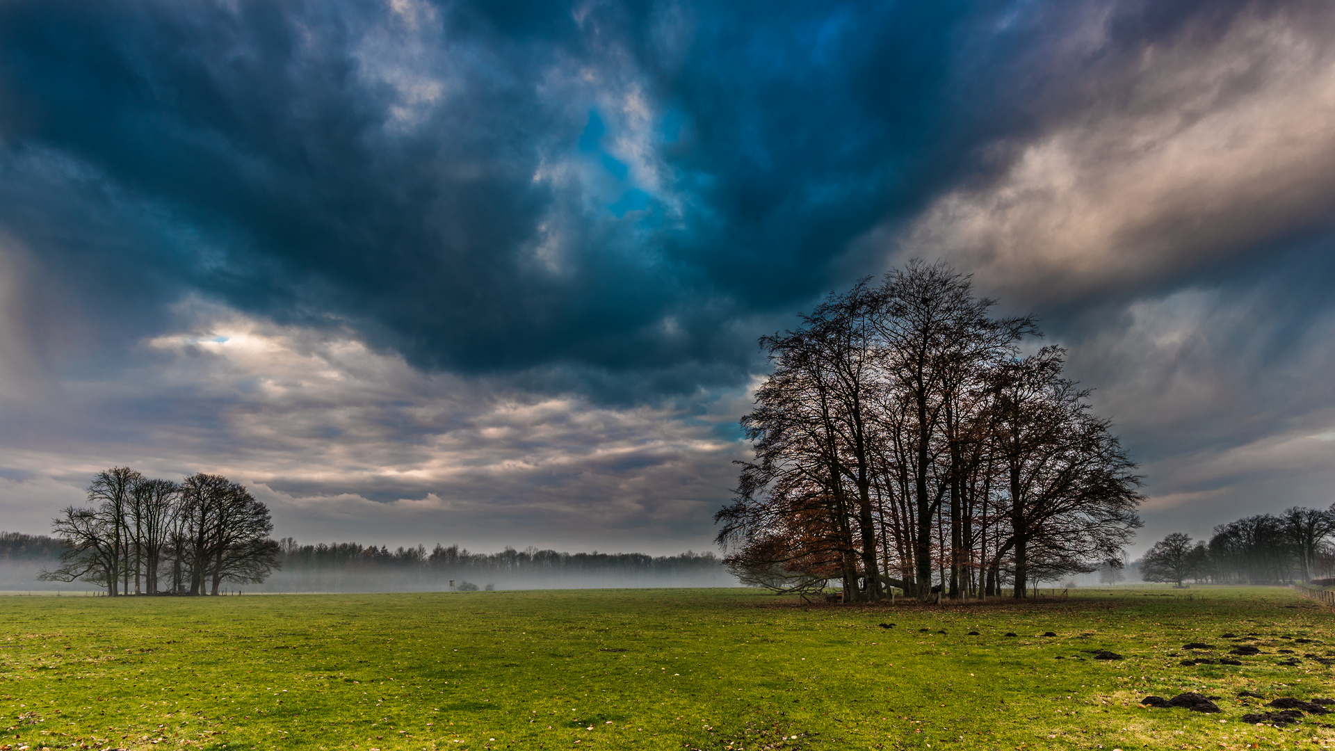 Herbststurm Herbststurm
