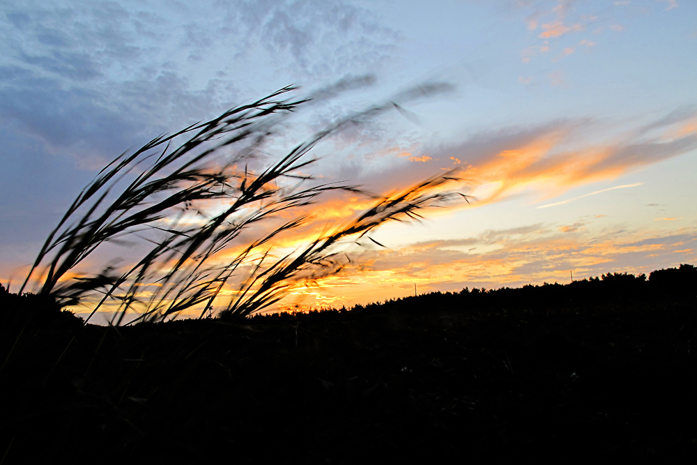 Herbststurm / Burrasca d'autunno (2)