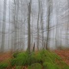 Herbststurm im Westerwald