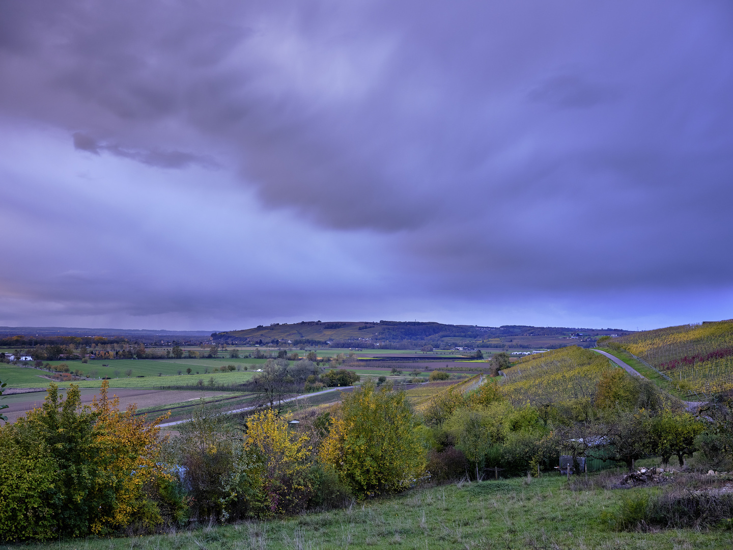 Herbststurm in den Reben