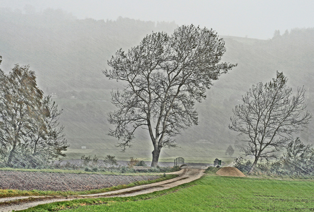 Herbststurm mit Riesel