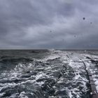 Herbststurm über dem Lorendamm bei Lüttmoorsiel