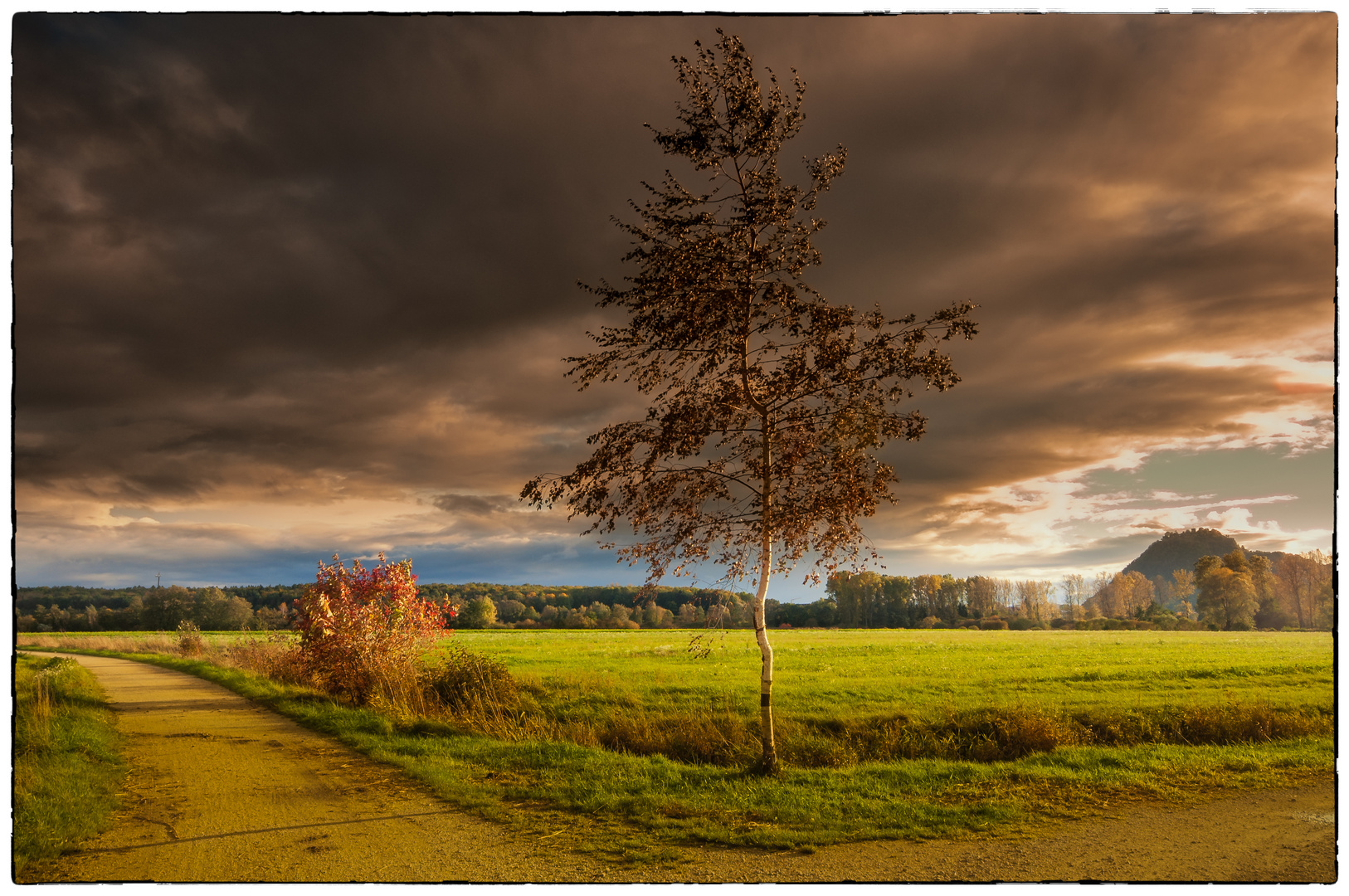Herbststurm Herbststurm