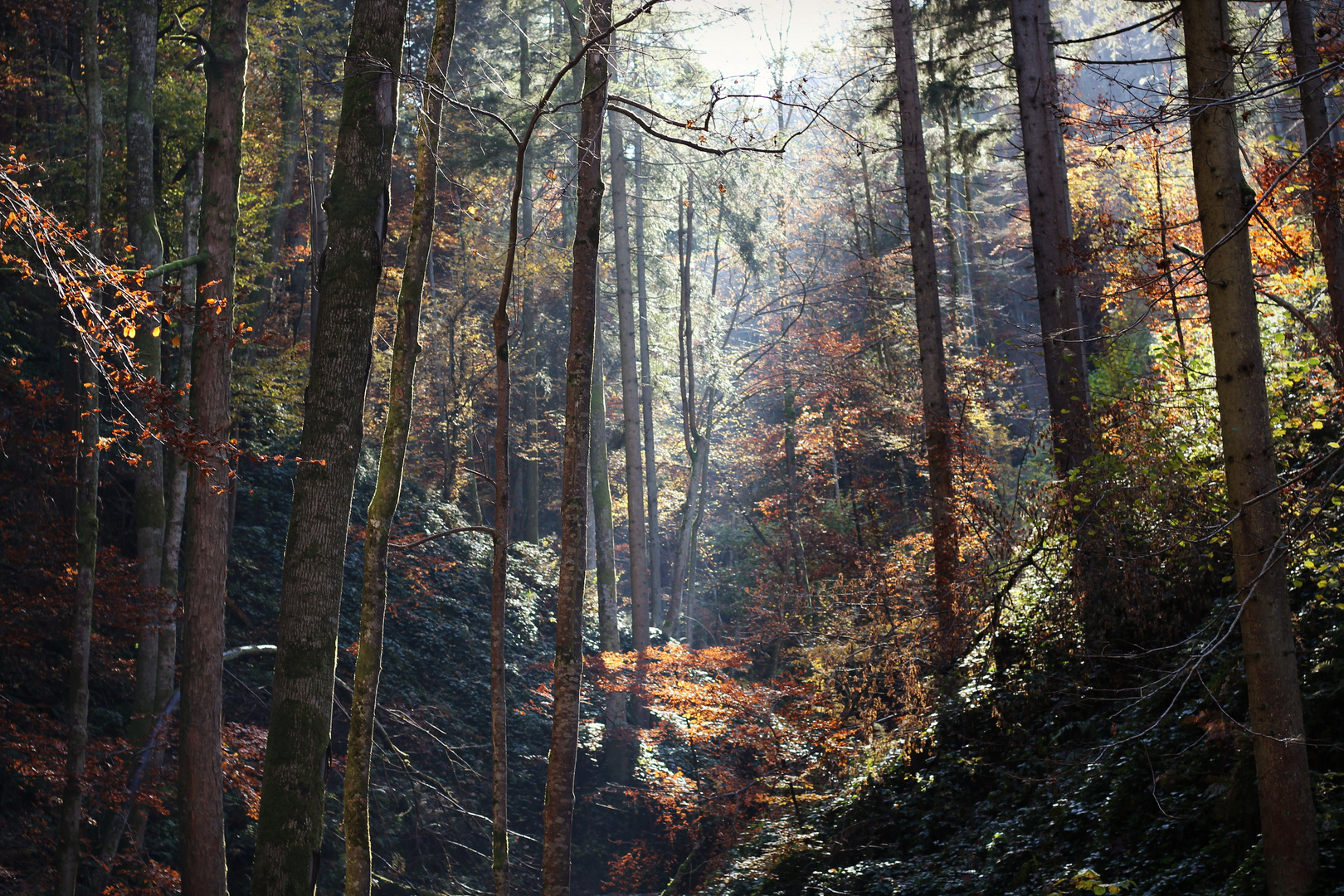 herbst,süßer herbst