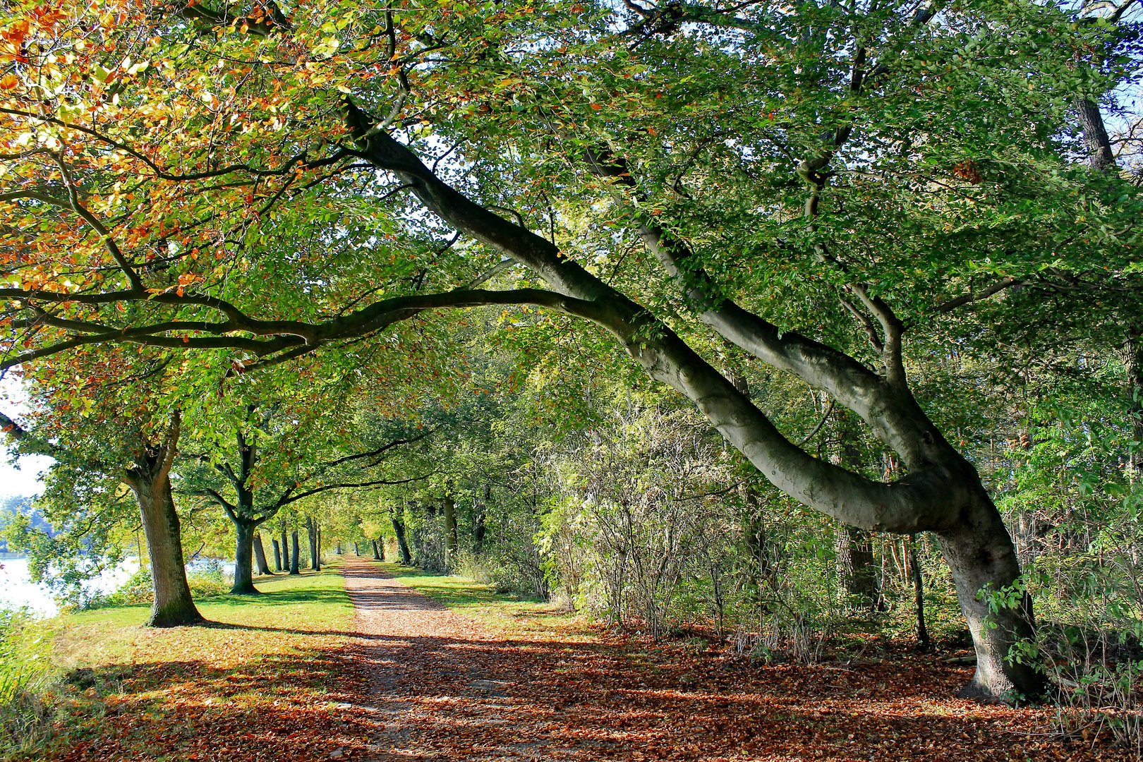 "Herbstsymphonie"