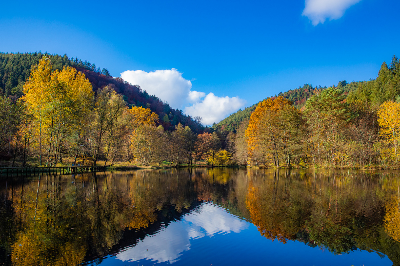 Herbstsymphonie der Natur