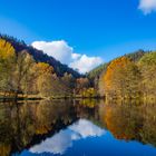 Herbstsymphonie der Natur