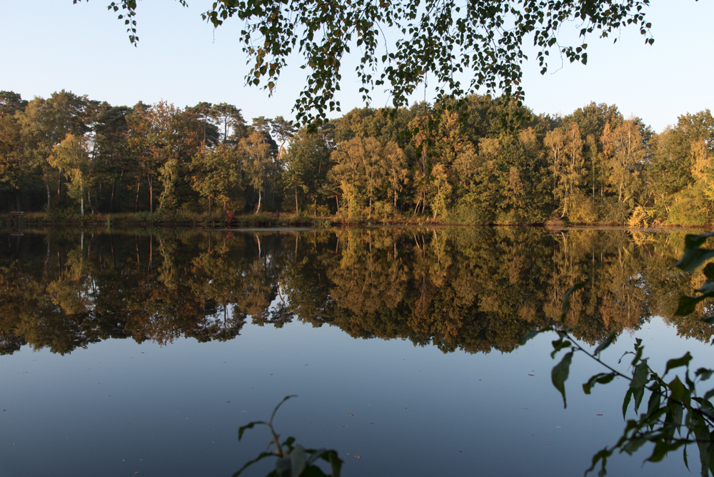 Herbstsynphonie