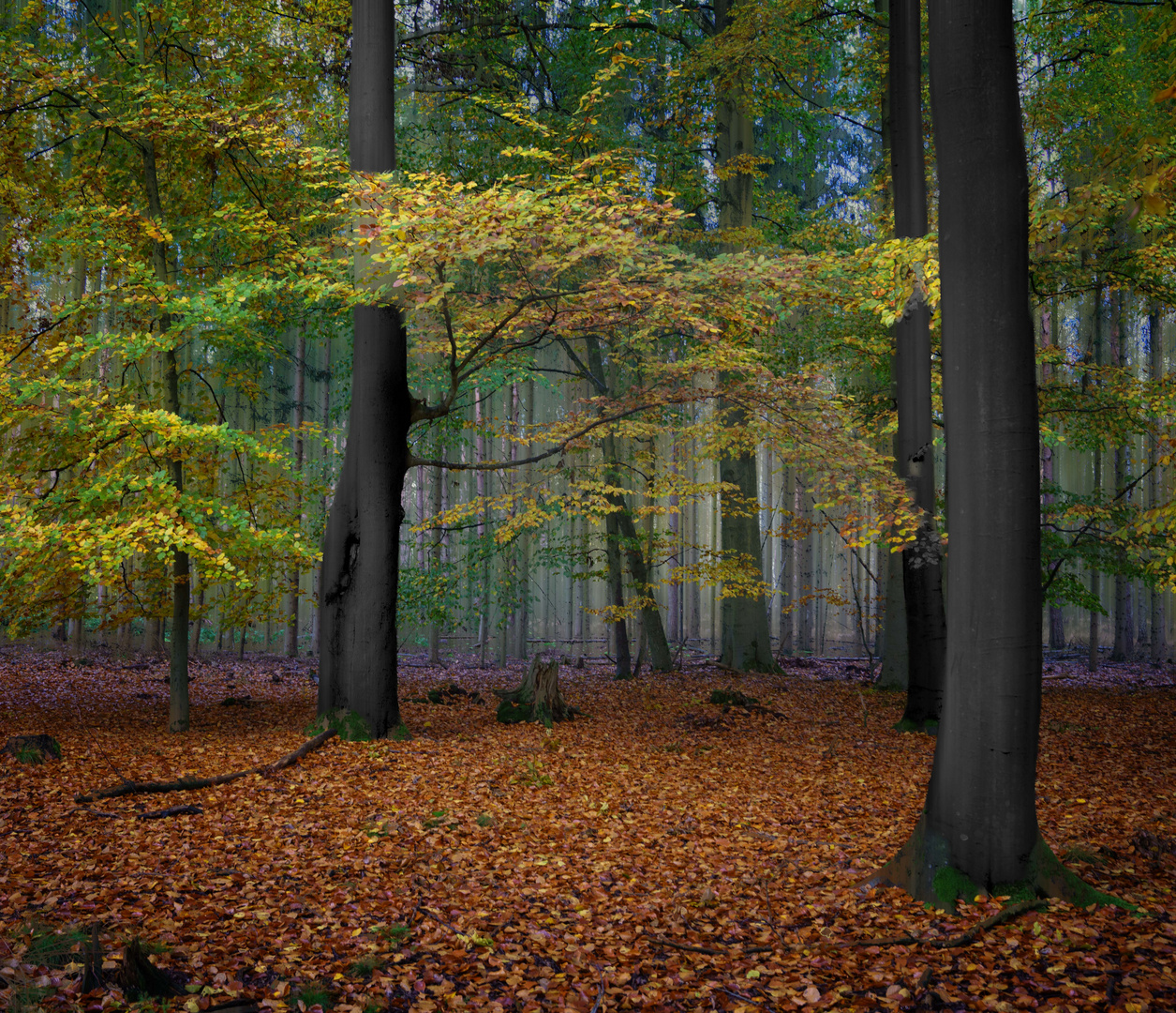 Herbstszene