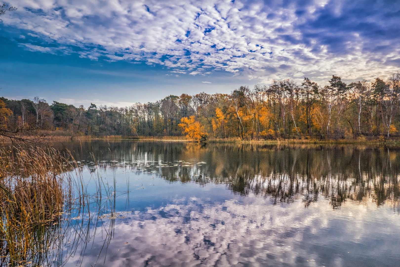 Herbstszene an der Krummen Lake
