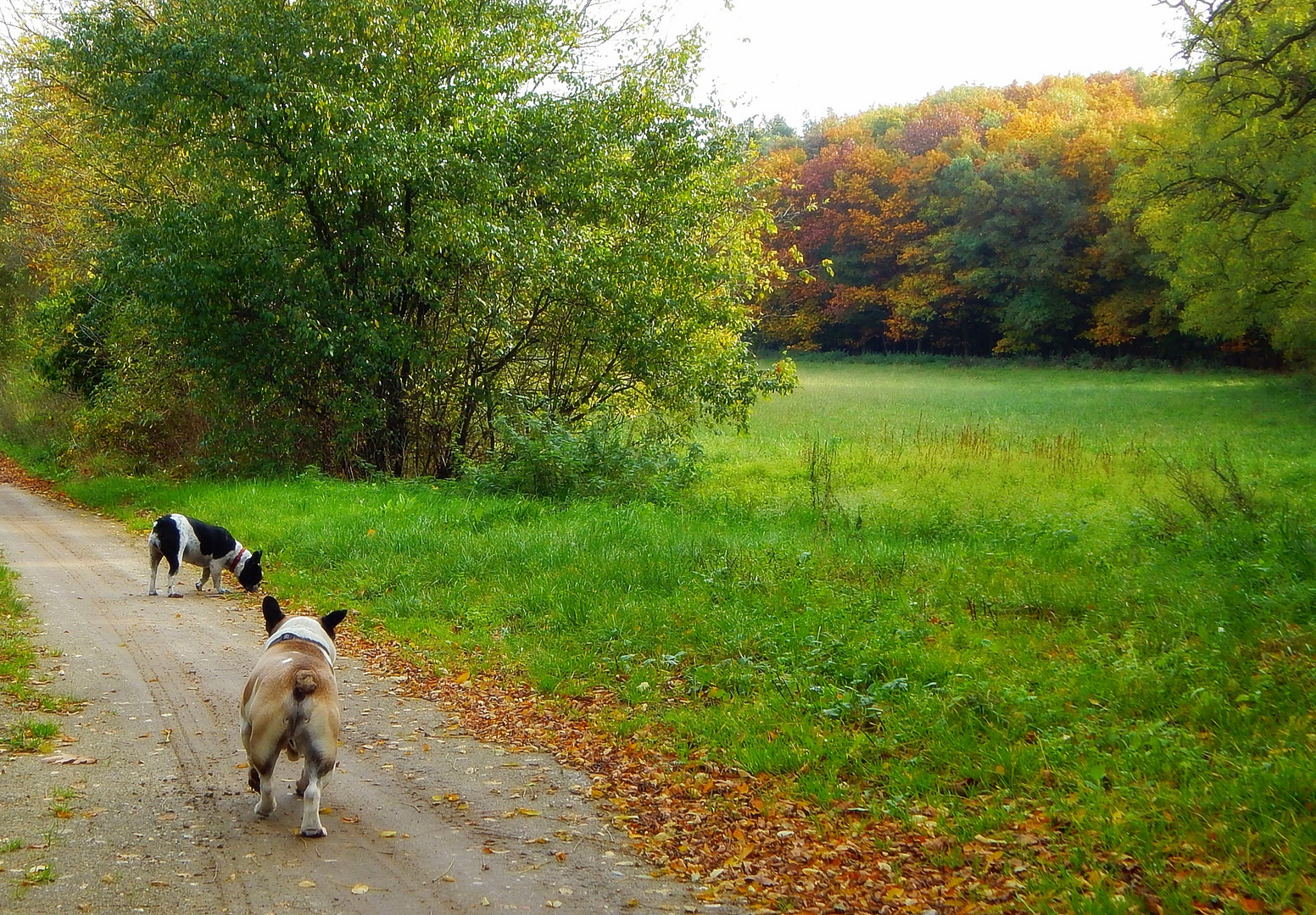 Herbstszene, die Zweite