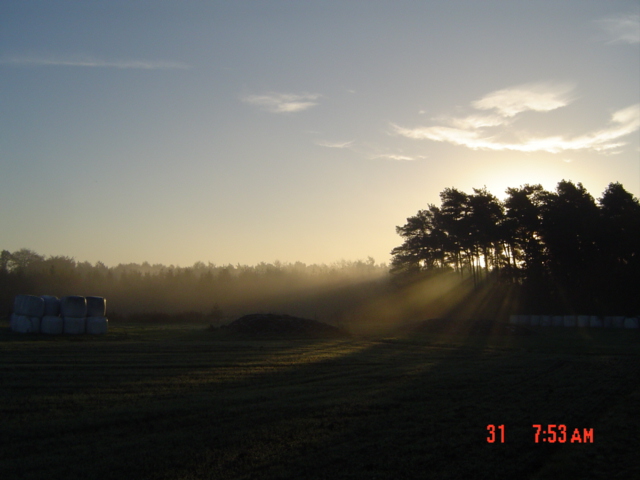 Herbsttag