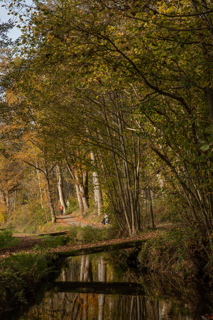 Herbsttag