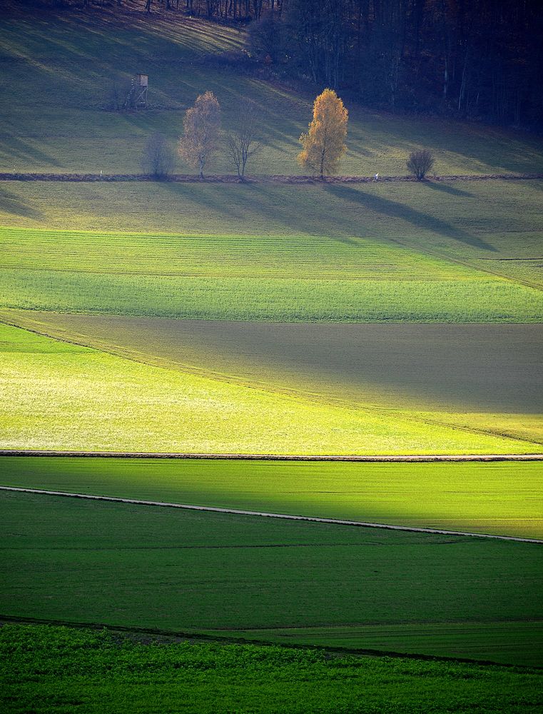 Herbsttag