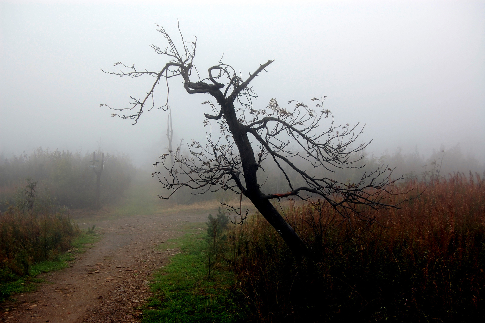 Herbsttag