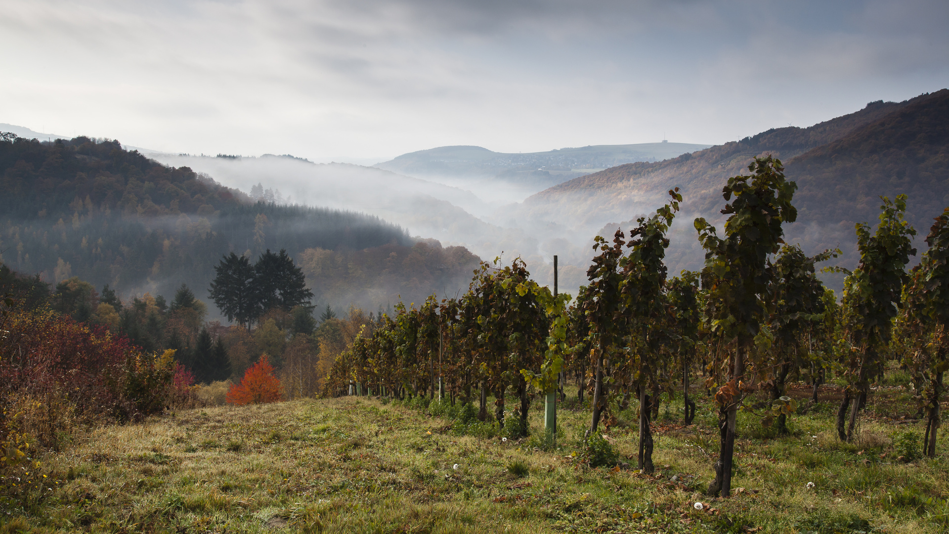 Herbsttag